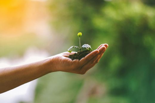 Neue EU-Vorgaben für Greenwashing