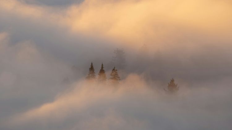Jonny Gios / unsplash.com Nachbericht: KI-Sichtbarkeit: In den richtigen Quellen vorkommen